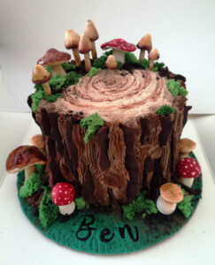 Woodland Mushroom Cake | Kerry's Cake Company